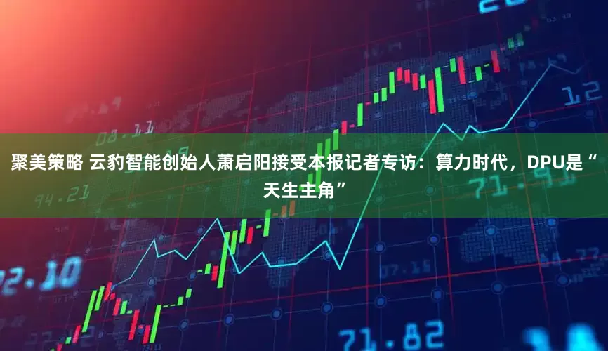 聚美策略 云豹智能创始人萧启阳接受本报记者专访：算力时代，DPU是“天生主角”